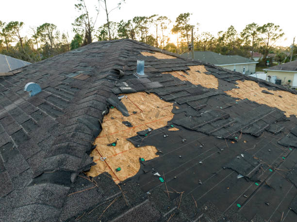 Best Wood Shake Roofing  in Byhalia, MS