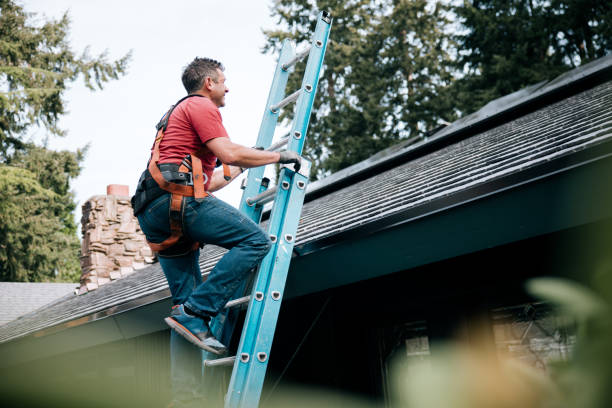Best Sheet Metal Roofing  in Byhalia, MS
