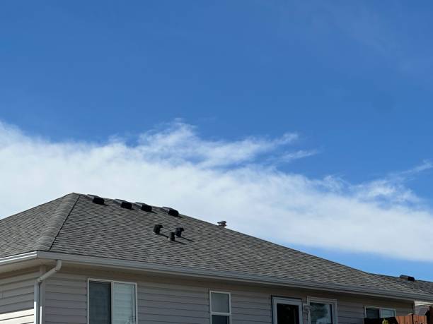 Best Storm Damage Roof Repair  in Byhalia, MS